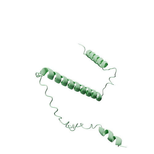 P01270-Human PTH-3d structure.jpg